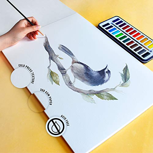STATIONERY ISLAND Watercolour Paper 300gsm A3 Water Colour Art Pad 20 Sheets Watercolor Sketchbook for Artist Student Kids Landscape Painting, Drawing and Sketching