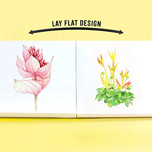 STATIONERY ISLAND Watercolour Paper 300gsm A3 Water Colour Art Pad 20 Sheets Watercolor Sketchbook for Artist Student Kids Landscape Painting, Drawing and Sketching