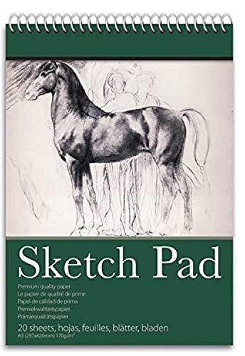2 Packs of 170 GSM A3 Wiro Sketch Book Drawing Paper - Sketch Pad Kids Coloring Book and Art Paper - Easy to Use Doodle Pad with (A3)