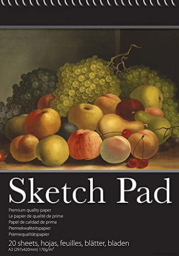 2 Packs of 170 GSM A3 Wiro Sketch Book Drawing Paper - Sketch Pad Kids Coloring Book and Art Paper - Easy to Use Doodle Pad with (A3)