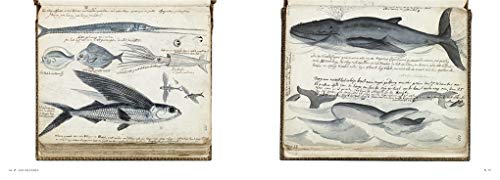Explorers' Sketchbooks: The Art of Discovery & Adventure