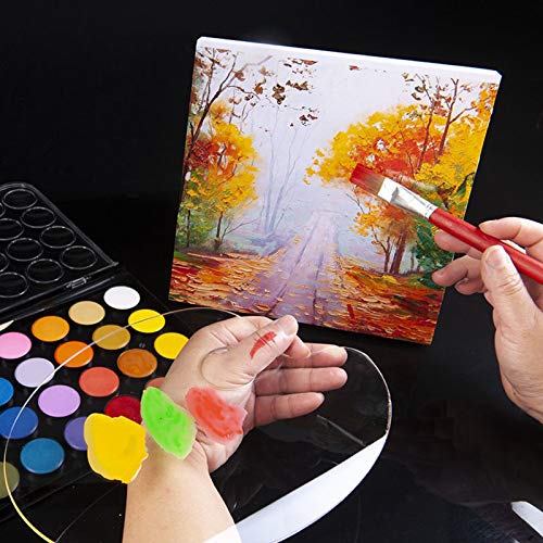 1PCS Clear Acrylic Paint Palette,Non-Stick Oil Paint Palette Oval Shaped Artist Painting Palette Mixing Palette Art Paint Tray Palettes with Protective Film for DIY Art Craft Painting (25 x 15 cm)