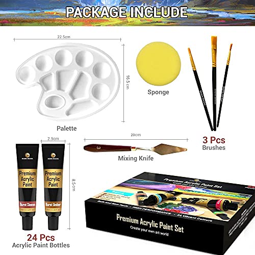 Desire Deluxe Acrylic Paint Set School Art Supplies for Artist – 30pc Craft Kit for Rock, Wood, Ceramic, Canvas, Paper & Fabric – Include Mixing Knife, Sponge, Palette and 3 Sizes Premium Brushes