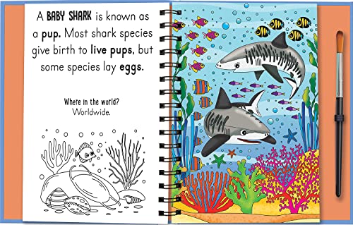 Woof and Meow - Baby Animals, Mess Free Activity Book (Magic Water Colouring)