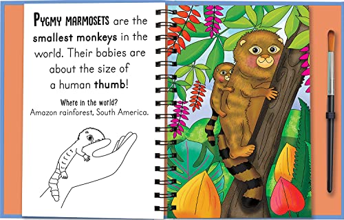 Woof and Meow - Baby Animals, Mess Free Activity Book (Magic Water Colouring)