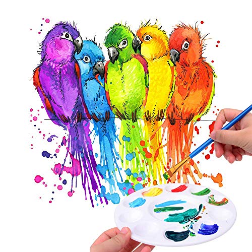 Hulameda 12 Pcs Paint Palettes, Paint Palette Tray Plastic for Kids and Adults to Create DIY Craft Professional Art Painting