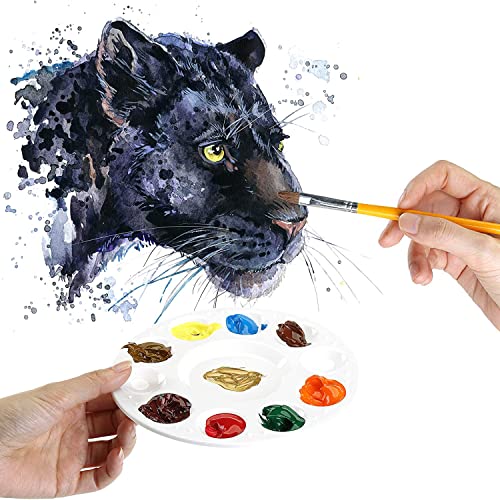 Painting Palette Paint Tray Palettes Plastic Round Palette Color Palette Mixing Palette for Painting and Oil DIY Craft Professional Art Painting(2 PCS)