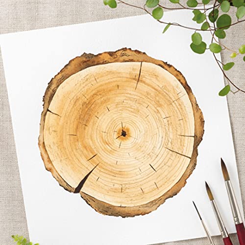 Watercolor for the Soul: Simple painting projects for beginners, to calm, soothe and inspire