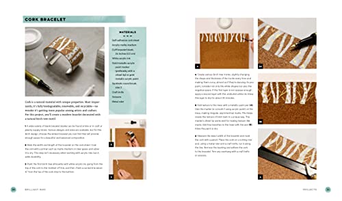 Brilliant Inks: A Step-by-Step Guide to Creating in Vivid Color - Draw, Paint, Print, and More! (7) (Art for Modern Makers)