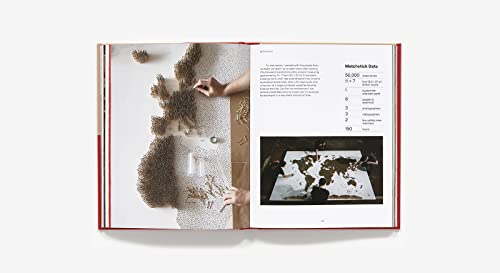 How to Paint Without a Brush: The Art of Red Hong Yi