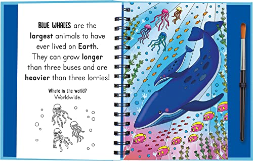 Splish and Splash - Under the Sea, Mess Free Activity Book (Magic Water Colouring)