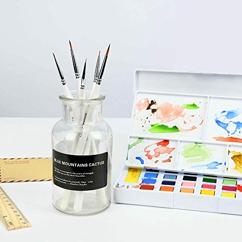 Detail Paint Brush Set with 5 Sizes for Fine Painting of Miniatures, Scale Models, Airplane Kits, Nail, Face, Micro Art