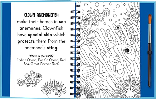 Splish and Splash - Under the Sea, Mess Free Activity Book (Magic Water Colouring)