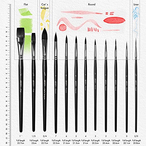 Artify 12 pcs Paint Brush Set - Nylon Painting Brushes for Acrylic, Oil, Watercolor and Gouache Painting for Kid and Adult, Beginner and Professional, with Round, Angle, Flat, Filbet, Fan Shape, Black
