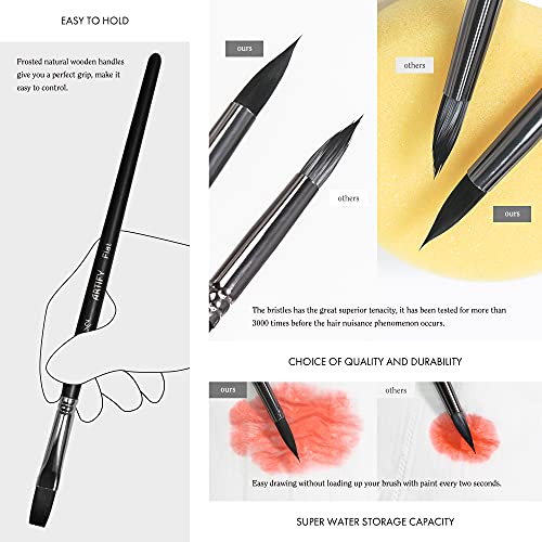 Artify 12 pcs Paint Brush Set - Nylon Painting Brushes for Acrylic, Oil, Watercolor and Gouache Painting for Kid and Adult, Beginner and Professional, with Round, Angle, Flat, Filbet, Fan Shape, Black
