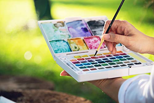 MSC Paint Brush Set 10 pc Nylon Hair Paintbrushes Multi Purpose Wooden Watercolour, Oil, Gouache, Acrylic Painting, Ceramic, Craft Art Brushes (Black)