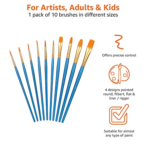 Amazon Basics Art Paint Brush Set, 10 Different Sizes for Artists, Adults & Kids