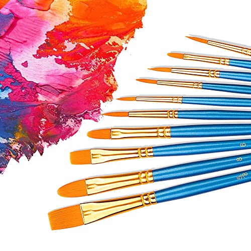 Amazon Basics Art Paint Brush Set, 10 Different Sizes for Artists, Adults & Kids
