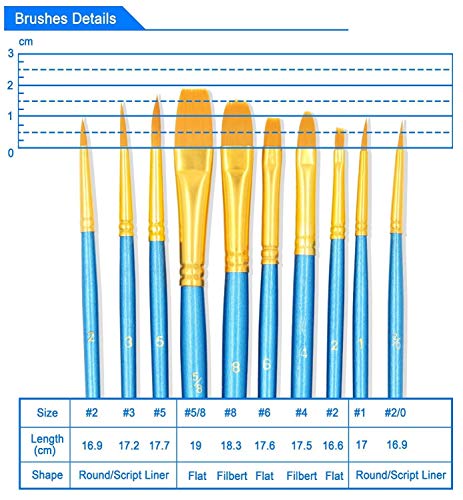 Zhu Ting Paint Brushes, 10pcs Paint Brush Set for Watercolor/Oil/Acrylic/Crafts/Rock & Face Painting(Blue)