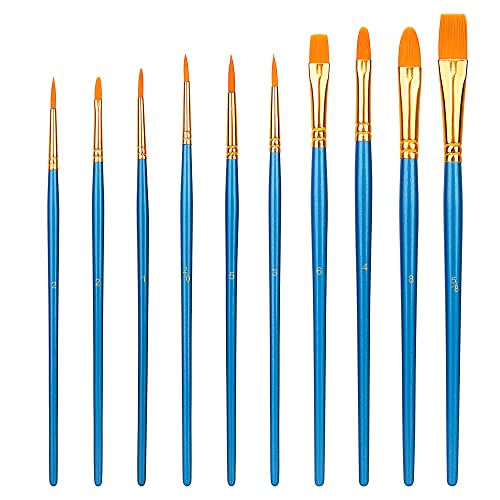 Amazon Basics Art Paint Brush Set, 10 Different Sizes for Artists, Adults & Kids