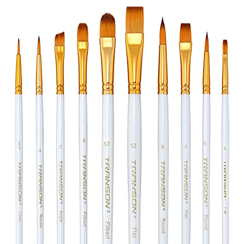 Transon 20pcs Art Painting Brush Set for Acrylic Watercolor Gouache Hobby Craft Face Rock Painting White