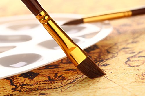 Artify Expert Paint Brushes Art Set for Acrylic Oil Watercolour Gouache | a Kit Hog Pony and Nylon Hairs | Including Two Large Size Nylon Brushes and a Carrying Pouch