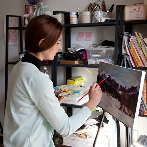 Artify Expert Paint Brushes Art Set for Acrylic Oil Watercolour Gouache | a Kit Hog Pony and Nylon Hairs | Including Two Large Size Nylon Brushes and a Carrying Pouch