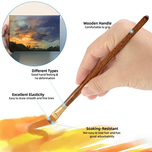 Silithus Paint Brushes 6 Pieces Set, Professional Fine Tip Paint Brush Set Round Pointed Tip Nylon Hair artist acrylic brush for Acrylic Watercolor Oil Painting (Flat)