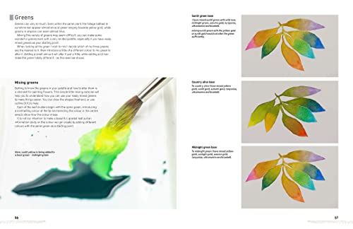 Watercolour Flowers for the Absolute Beginner (Absolute Beginner Art)