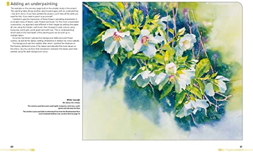 Watercolour Flowers for the Absolute Beginner (Absolute Beginner Art)