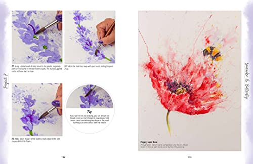 Painting with Brusho: Create vibrant & expressive paintings using watercolour ink powder