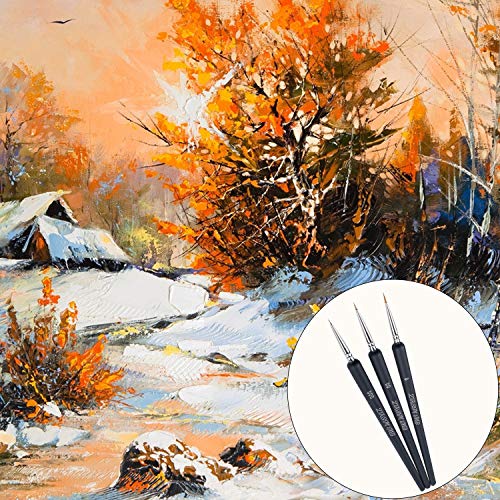 ZKSM 9pcs Detail Paint Brush Set Fine Miniature Artist Painting Brushes with 0, 00, 000 Size Drawing Brushes for Paintings Art Acrylic Watercolor Oil Nail Art
