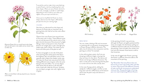 Wildflower Watercolor: The Beginner's Guide to Painting Beautiful Florals