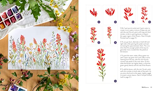 Wildflower Watercolor: The Beginner's Guide to Painting Beautiful Florals