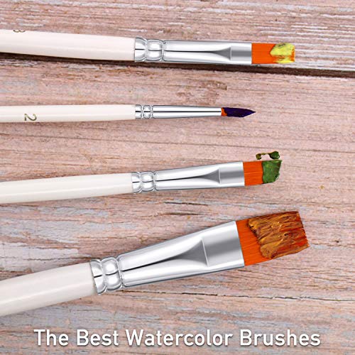 6 Pieces Paint Brush Set Oil Paint Art Brushes Nylon Hair Fine Detail Painting Brushes Pointed Tip Paint Brush for Art Painting, Watercolor, Nail Painting, Miniatures, Artists