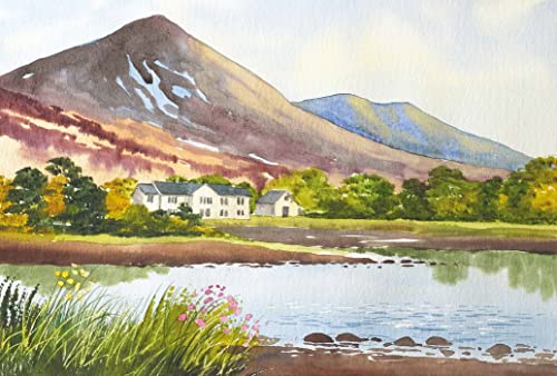Ready to Paint with Terry Harrison: Watercolour techniques, tips and projects for the complete beginner