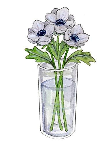 Watercolour Lessons: How to Paint and Unwind in 20 Tutorials