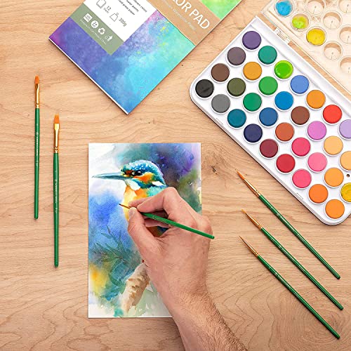 Watercolor Paint Set - 36 Premium Paints - 12 Page Pad - 6 Brushes - Painting Supplies with Palette, Watercolors, Art Pad Paper and Artist Brushes