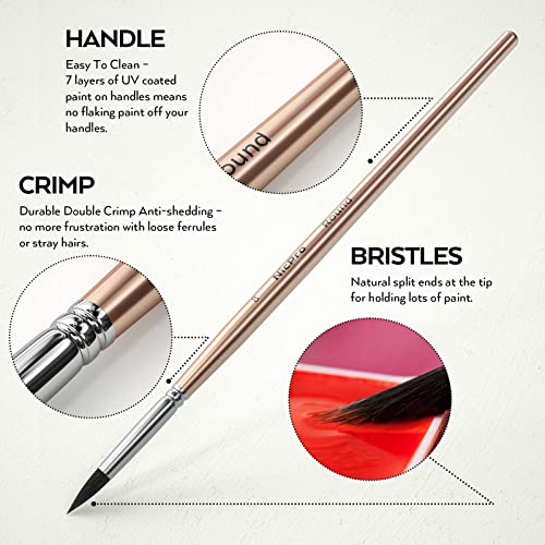 Nicpro Watercolour Paint Set, 48 Water Colors Kit with 8 Squirrel Brushes, Palette, Watercolor Pen, 25 Art Pad Paper, 2 Art Sponges, Non-toxic Painting Supplies for Kids, Adults, Beginners, Artists