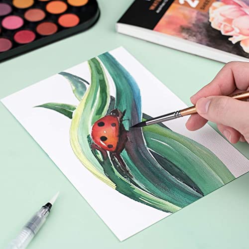 Nicpro Watercolour Paint Set, 48 Water Colors Kit with 8 Squirrel Brushes, Palette, Watercolor Pen, 25 Art Pad Paper, 2 Art Sponges, Non-toxic Painting Supplies for Kids, Adults, Beginners, Artists