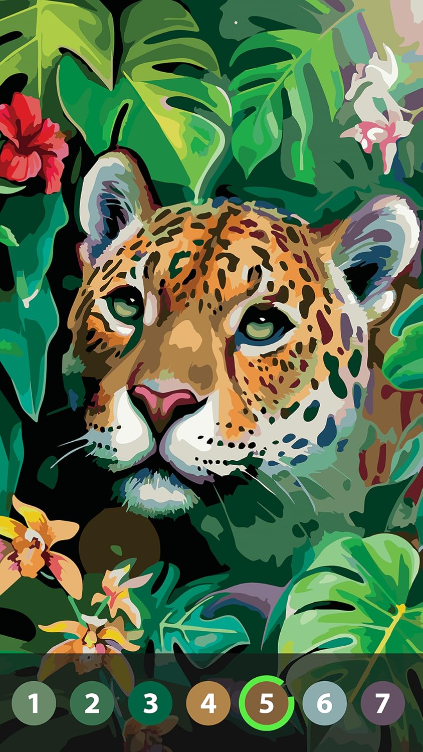 Oil Painting Paint by Number - Free Color by Number for Adults