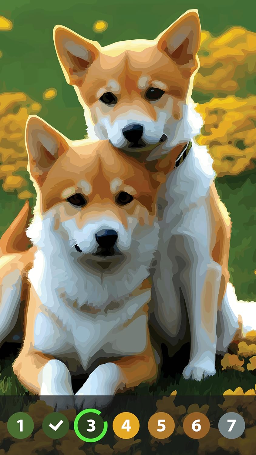 Oil Painting Paint by Number - Free Color by Number for Adults