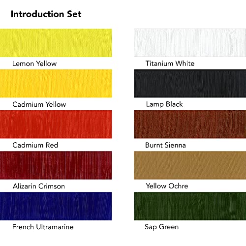 Daler-Rowney Georgian 22 ml Oil Paint Introduction Set, 10 Assorted Colours, Ideal for Professional Artists and Students