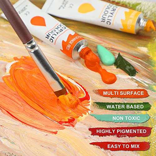 Halobios Acrylic Paint Set, 24 Rich Pigment Oil Paint Set for Adult Children Artists Beginner, Vibrant Variety of Art Supplies Acrylic Paints for Painting Canvas Wood Paper Ceramic Fabric Craft DIY