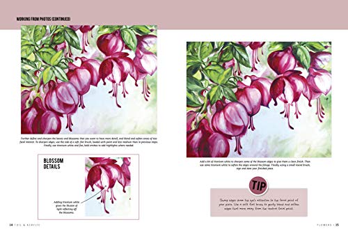 Oil & Acrylic: Flowers: Learn to paint step by step (How to Draw & Paint)