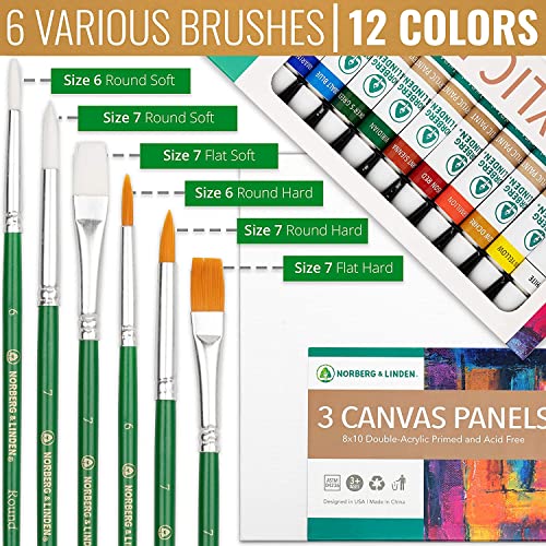 Acrylic Art Set - 12 Acrylic Paint Tubes - 6 Paint Brushes - 3 Canvas Panels - Art Supplies