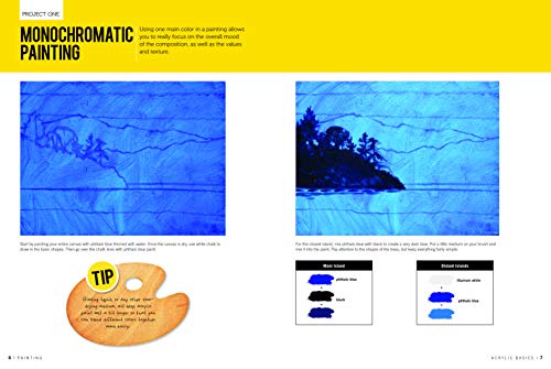 Walter Foster Publishing Painting: Acrylic Basics: Master the art of painting in acrylic (How to Draw & Paint), 260.35mm x 349.25mm