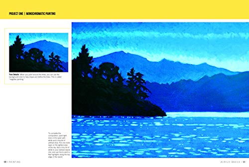 Walter Foster Publishing Painting: Acrylic Basics: Master the art of painting in acrylic (How to Draw & Paint), 260.35mm x 349.25mm