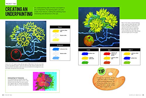 Walter Foster Publishing Painting: Acrylic Basics: Master the art of painting in acrylic (How to Draw & Paint), 260.35mm x 349.25mm