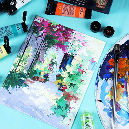 TBC Acrylic Paint Set for Professional Artists, Kids Beginners Painting Craft on Paper, Canvas, Rock, Wood, Ceramic, Glass - Set of 12 Tubes x 120ml with 3 Paint Brushes